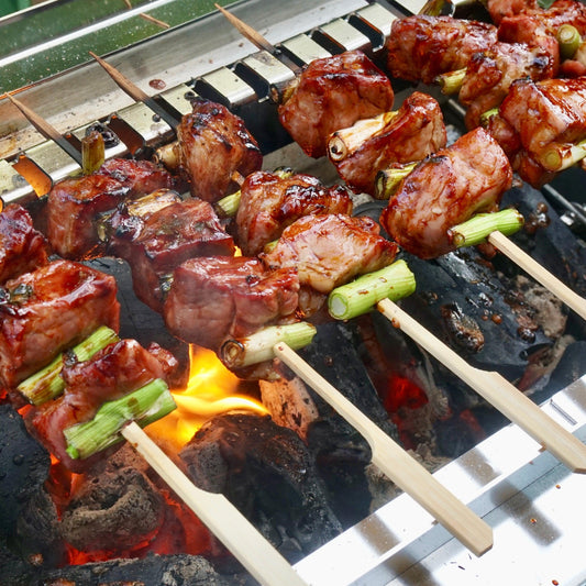 THÜROS Shish Kebab Skewer Attachment for THÜROS PRO